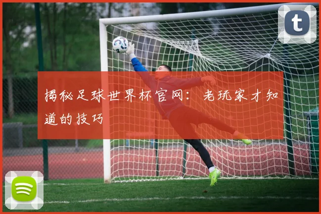 揭秘足球世界杯官网：老玩家才知道的技巧