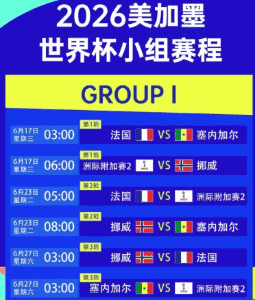 C罗替补登场瞬间